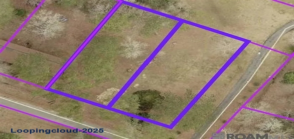 Newton St Jackson Louisiana, 70748 | Exclusive Lot for Sale