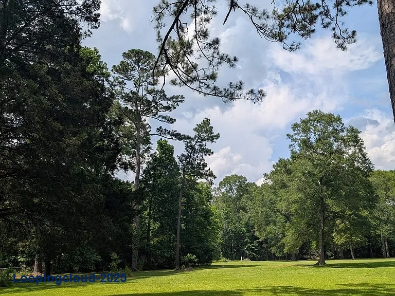 Commercial Property for Sale in Jackson Louisiana 70748