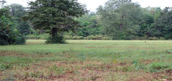 938 Minglewood Rd Liberty Texas, 77575 | +/-420 Acre Golf Course Fronting Land Dev Opp- Golf Course