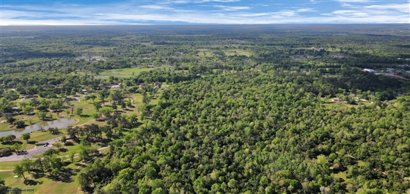 938 Minglewood Rd Liberty Texas, 77575 | +/-420 Acre Golf Course Fronting Land Dev Opp- Golf Course