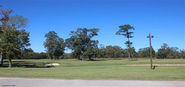 938 Minglewood Rd Liberty Texas, 77575 | +/-420 Acre Golf Course Fronting Land Dev Opp- Golf Course