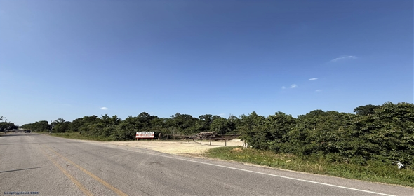 0 Spur 234 & SH-105 Navasota Texas, 77868 | Railroad Frontage Land