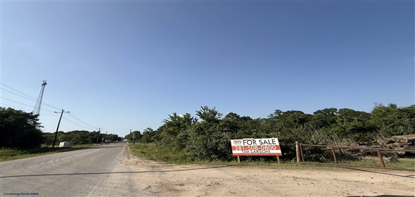 0 Spur 234 & SH-105 Navasota Texas, 77868 | Railroad Frontage Land