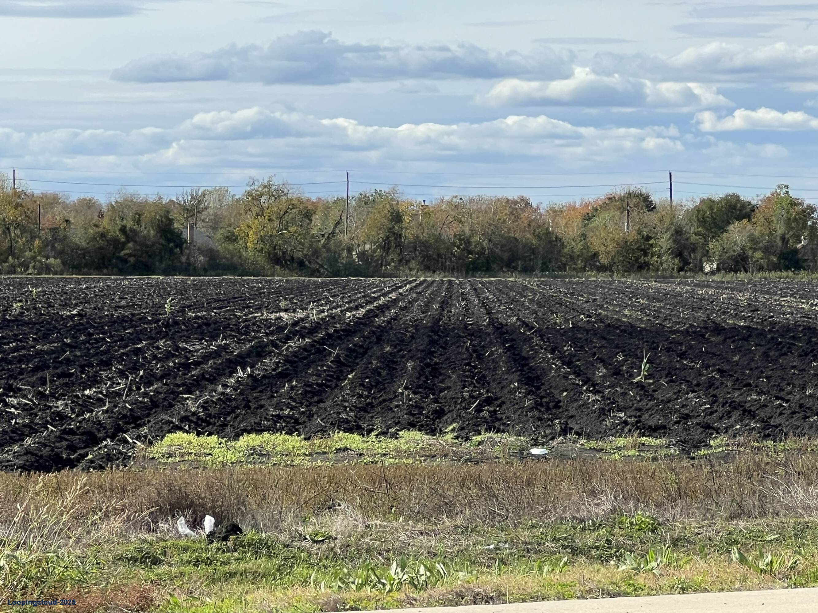 Land for Sale in Richmond Texas 77469