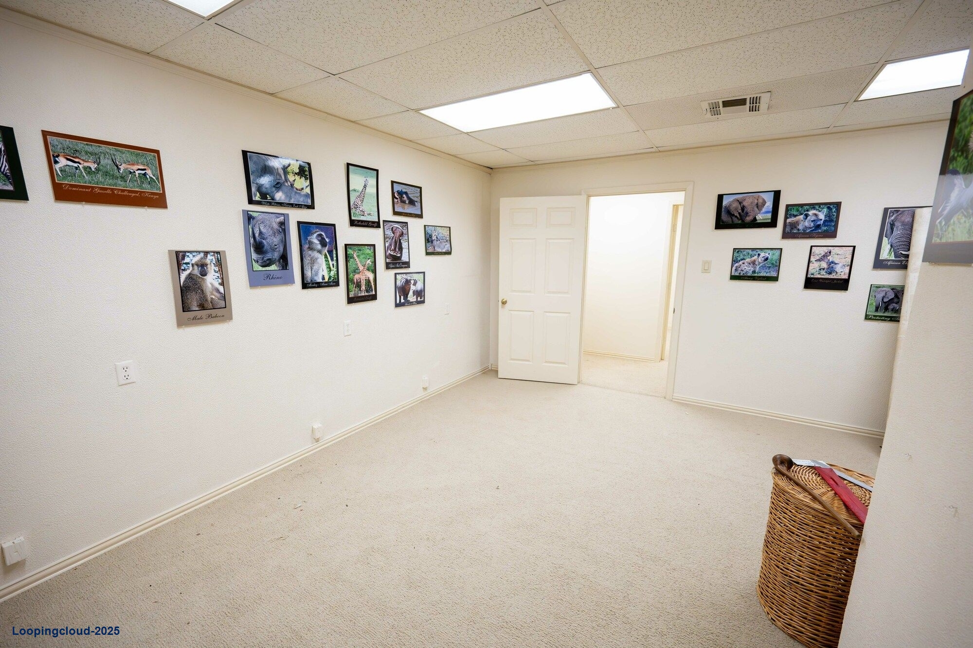 premier leasing opportunity
