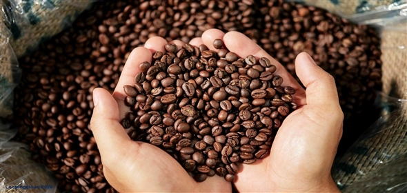 Kansas City Missouri, 64157 | Specialty Coffee Roaster / Manufacturer - Missouri