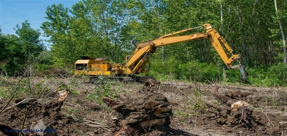 Louisville Kentucky, 40201 | Land Clearing & Tree Service Company - Louisville KY