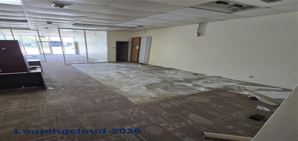 1041 W Commercial Blvd # 101 Fort Lauderdale Florida, 33309 | Beautiful  Office