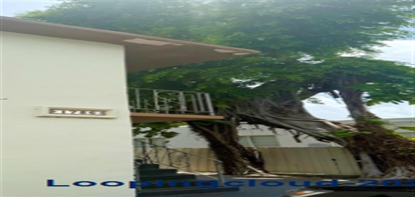 1736 NW 19th St Miami Florida, 33125 | Beautiful Multifamily