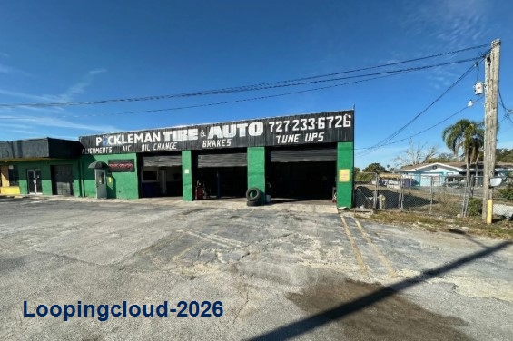 Premier Waterfront Commercial Opportunity | High Visibility US-19 Frontage