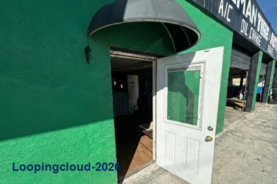 Premier Waterfront Commercial Opportunity | High Visibility US-19 Frontage