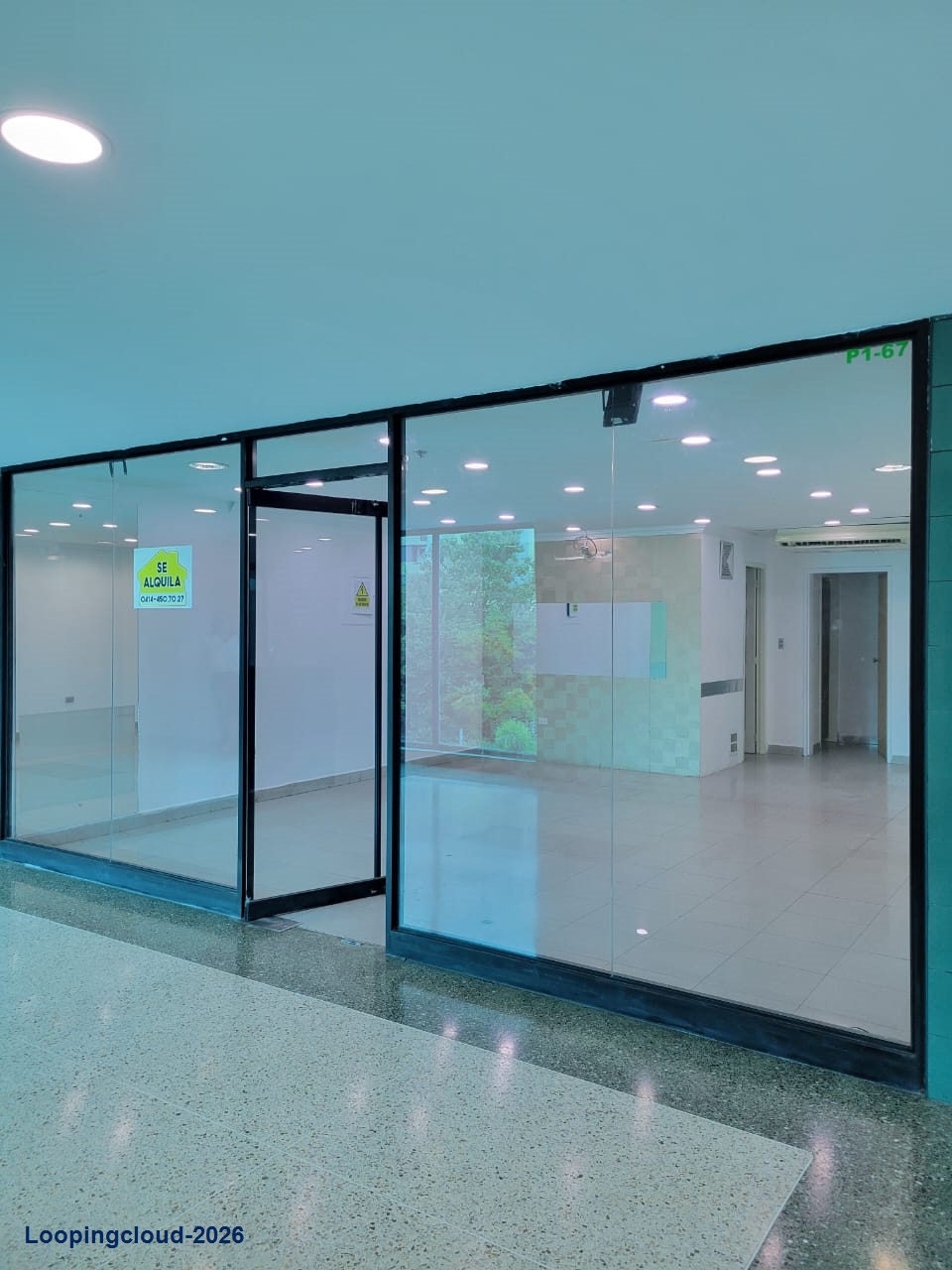 Retail Property for Sale in Piso 1 – Local P-1-67 Aragua 02101