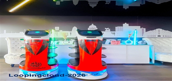 Tampa Tampa Florida, 33614 | Beautiful Restaurant