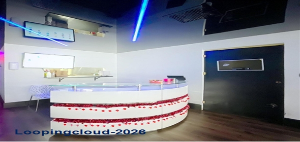 Tampa Tampa Florida, 33614 | Beautiful Restaurant