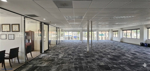 283 Catalonia Ave Coconut Grove Florida, 33134 | Premier Commercial Investment