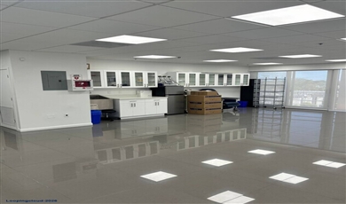 2299 Douglas Rd , Miami Florida                                                                                              33145