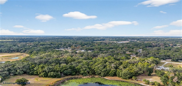 2048 Miller Boulevard (466-A Fruitland Park Florida, 34731 | 4.45 Development Acres -The Villages Area