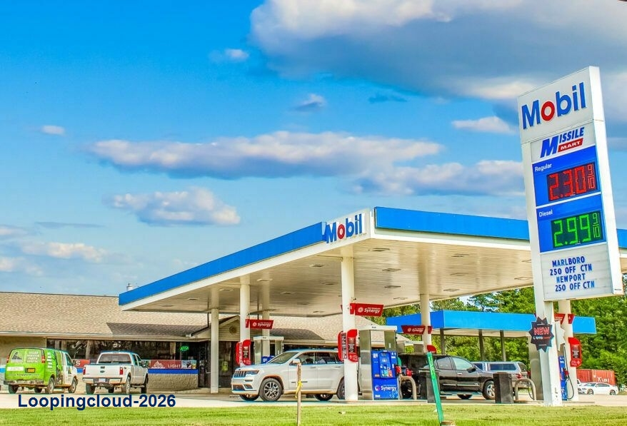(7.3% CAP RATE) LAKELAND MOBIL W/ GO MARKET C-STORE (20-YEAR NNN LEASE)!