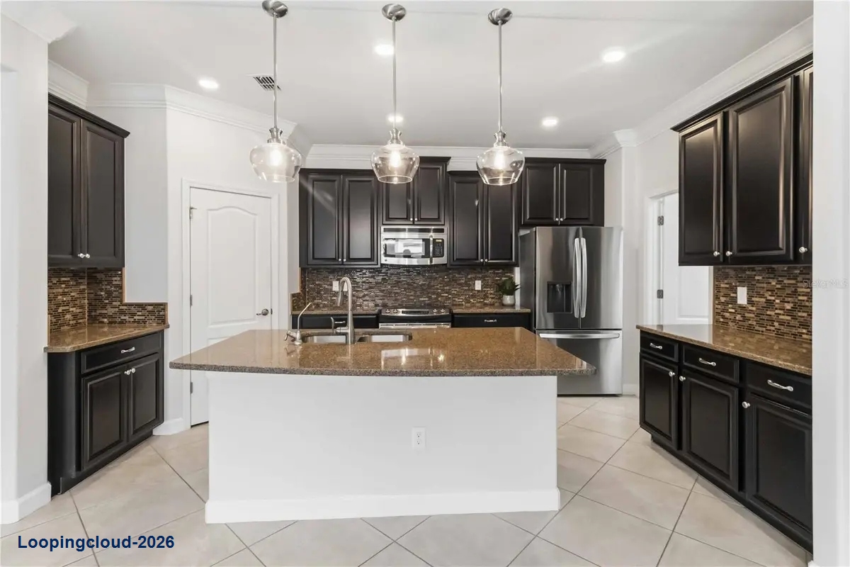11833 FROST ASTER DR Riverview, FL 33579