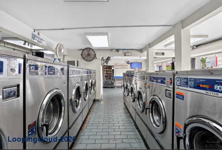 coin laundry business for sale Hialeah, FL 33010