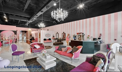 Miami FL Miami Florida, 33184 | Business Opportunity – Established Children’s Spa & Event Venue In Miami FL 33184