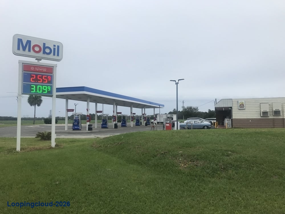 7-11 portfolio