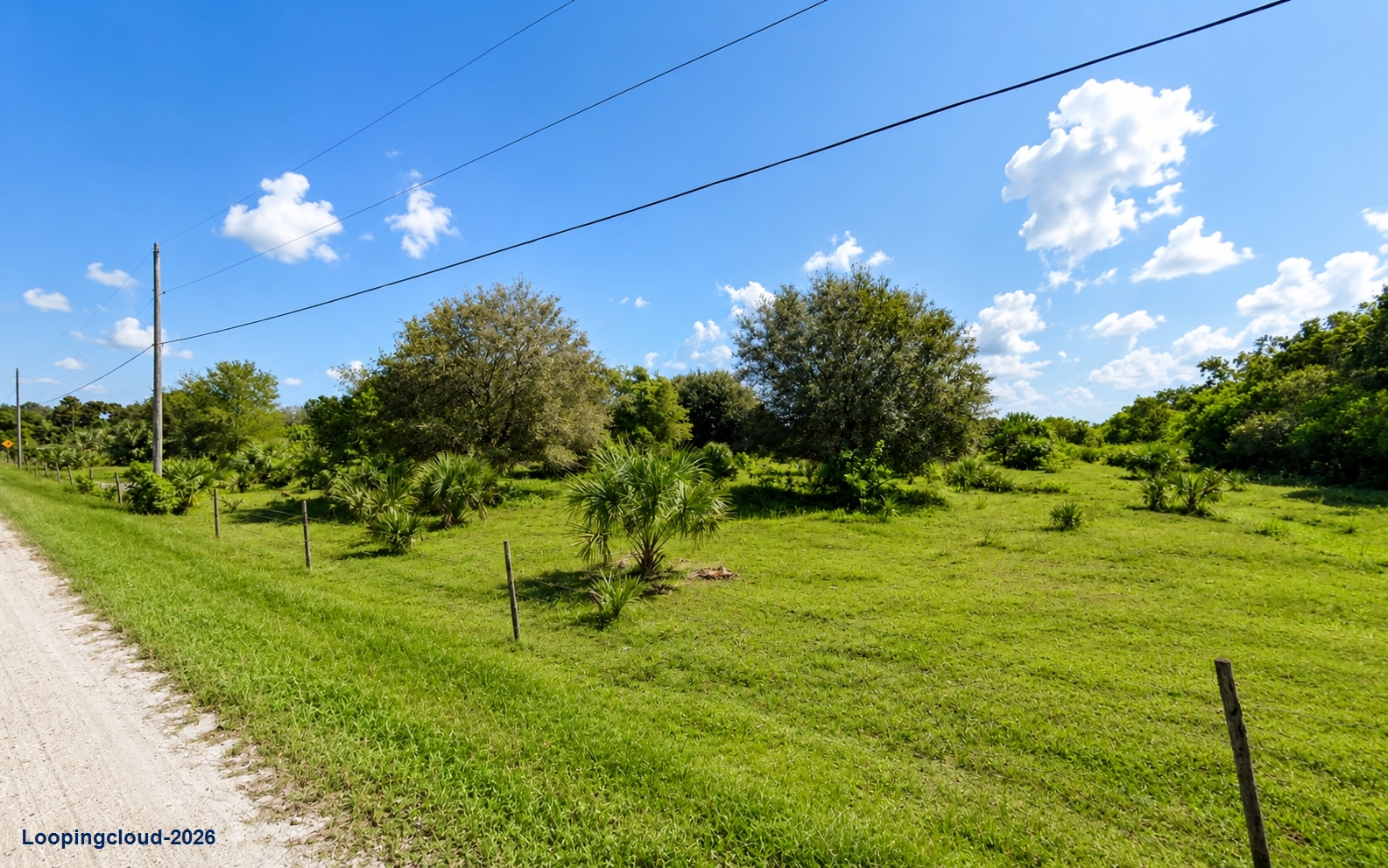 Agricultural Land with Long-Term Investment & Development Appeal
