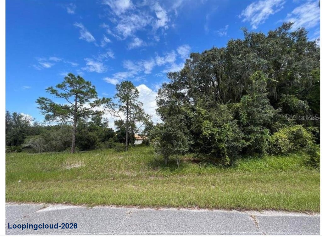 Vacant Residential Lot For Sale: 1336 Hillsborough Court, Poinciana, FL 34759