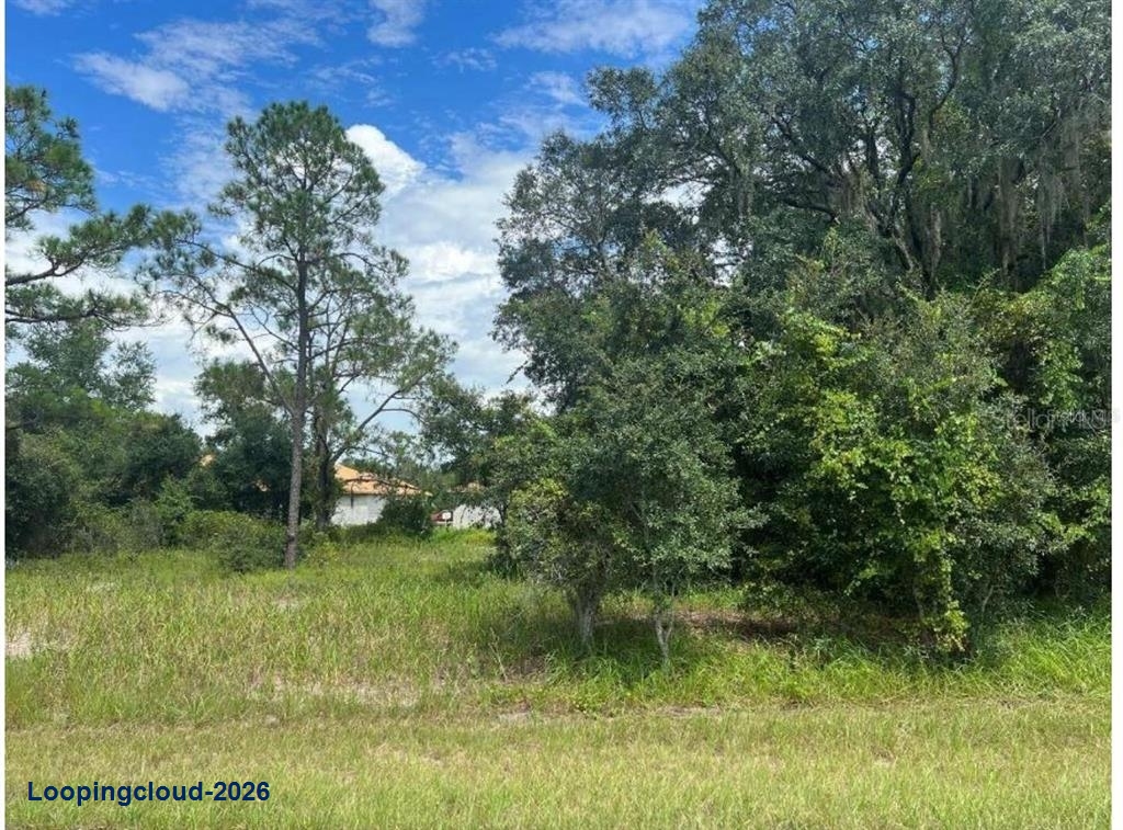 Vacant Residential Lot For Sale: 1336 Hillsborough Court, Poinciana, FL 34759