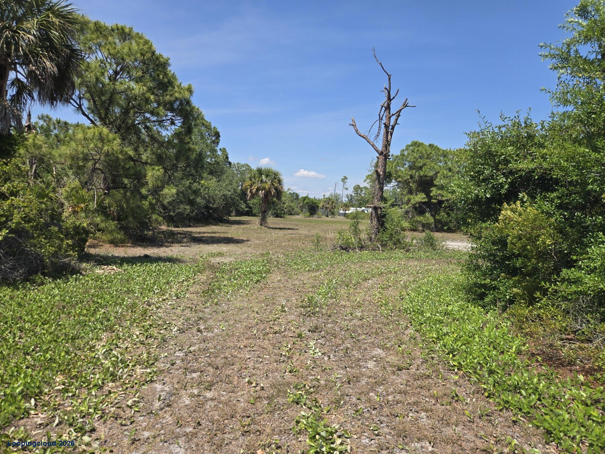 IG-Zoned Industrial Land for Sale in Rotonda West / Charlotte County, FL