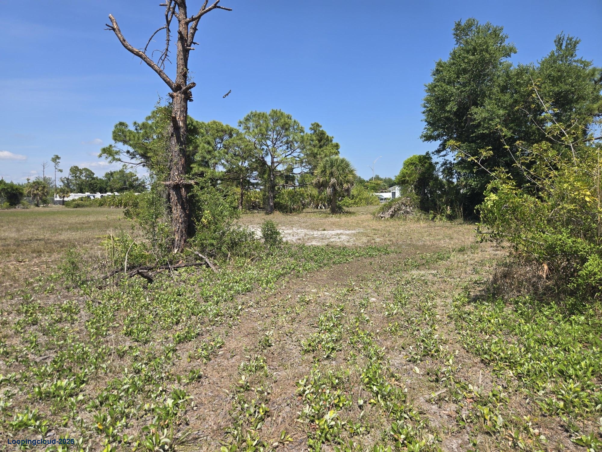 IG-Zoned Industrial Land for Sale in Rotonda West / Charlotte County, FL