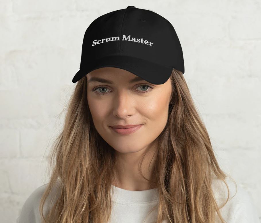 Looping Cloud - Broker/Agent 1001 NE 179 Street tanweer khan  Mia Shores 33162 Florida | loopingcloud.com